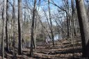 345 Squirrel Lane sold home in Lake Wylie, SC