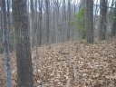 40 Pleasant Hill Circle sold home in Waynesville, SC