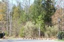 9012 Deervalley Court 39 sold home in Waxhaw, SC