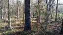 01 A Woodlawn Lane 1,2,3 sold home in Indian Trail, SC