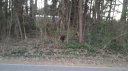 Lot 66 Ponderosa Circle sold home in Mooresville, SC