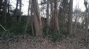 Lot 67 Ponderosa Circle sold home in Mooresville, SC