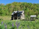 225 Triple Creek Drive sold home in Clyde, SC