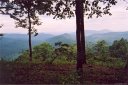 91 High Cliffs Trail 31 sold home in Black Mountain, SC