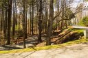16 Redwood Street 49 sold home in Brevard, SC
