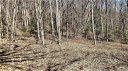 0000 Parchment Lane 5-4 sold home in Sylva, SC