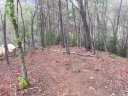 12 Rock Moss Drive sold home in Cullowhee, SC