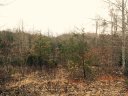 Lot 40 Foresight Lane sold home in Lake Lure, SC