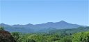 99999 Challedon Drive 37 sold home in Candler, SC