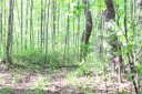 Lot2 Hosta Lane sold home in Hendersonville, SC