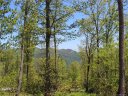 Lot 37 Grand Oaks Drive sold home in Hendersonville, SC