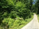 0000 Idylwild Lane sold home in Black Mountain, SC