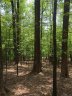 3861 Skyuka Mountain Road 16 sold home in Columbus, SC