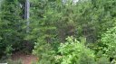 162 Rushing Water Lane 12 sold home in Troutman, SC