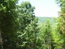 14 Bow N Arrow Cove sold home in Waynesville, SC