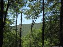 499 Peppervine Circle 85 sold home in Rosman, SC