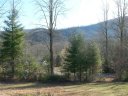 1 S Crab Meadow Drive sold home in Hendersonville, SC