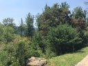 Tbd Camsyn Drive 43 sold home in Weaverville, SC
