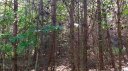 Tbd Glen Eagles Lane 170 sold home in Mills River, SC