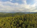 1647 Mills River Way #104 sold home in Horse Shoe, SC
