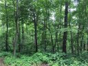 4 Davey Crockett Road sold home in Fairview, SC