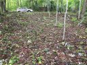 37 Lady Slipper Trail sold home in Swannanoa, SC