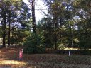 Lot 60 Kings Drive sold home in Harrisburg, SC