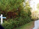 0 Whisper Lake Drive 50/Phase I sold home in Sapphire, SC