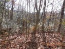 00 Joshua Road Lot # 19 sold home in Rosman, SC