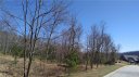 163 Stonefly Drive 121 sold home in Horse Shoe, SC