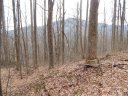 Lot 45 Fern Trail sold home in Waynesville, SC