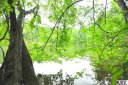 Lot 36 High Vista Court sold home in Valdese, SC