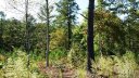 3187 Panoramic Vista Court 62 sold home in Valdese, SC