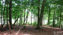 5204 Peninsula Drive 43 sold home in Granite Falls, SC