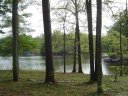 1317 Knebworth Lane sold home in Catawba, SC