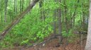 000 Lake Wylie Road sold home in Belmont, SC