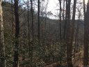 9999 Eastmoor Drive sold home in Asheville, SC