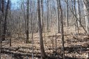 54 Great Aspen Way 701 sold home in Black Mountain, SC