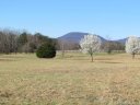 00 Greenwood Road sold home in Tryon, SC
