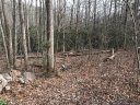 914 Wash Freeman Road 7 sold home in Hendersonville, SC