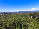 34 Forest Spring Drive 32 sold home in Asheville, SC