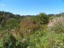424 Macbeth Street sold home in Weaverville, SC