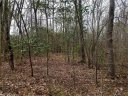 159 Valley Springs Drive 43 sold home in Olin, SC