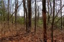 Tbd Ballard Road sold home in Brevard, SC