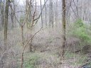 Lot 81 Turkey Run Drive sold home in Mars Hill, SC