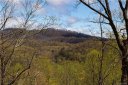 99999 Lower Flat Creek Road 5B sold home in Black Mountain, SC