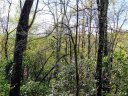 L25r Pisgah Forest Drive sold home in Pisgah Forest, SC