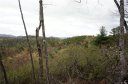 Tbd Ruffed Grouse Road 46 sold home in Brevard, SC