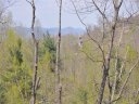 213 Solomon Circle 40 sold home in Hendersonville, SC