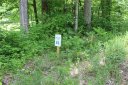 Tbd Sanctuary Trail E1, (Plus Lots 30,38,105) sold home in Mars Hill, SC